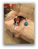 Detecting the amount of blur in an image using the variance of Laplacian.